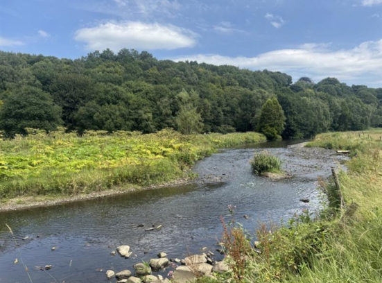 From the Office to the Outdoors; SupaLite’s Lakeland 50 Challenge